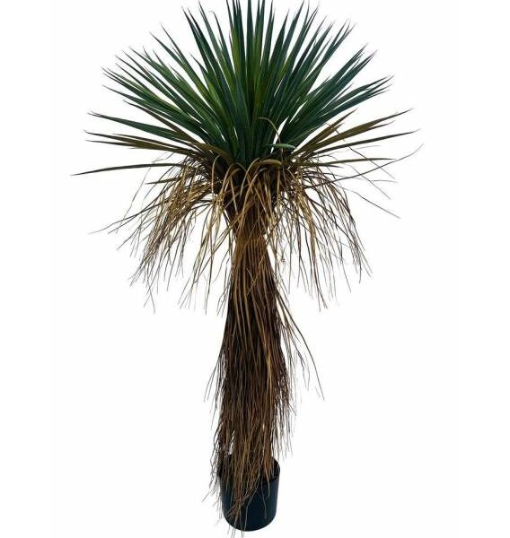 Dirbtinis augalas YUCCA žalias